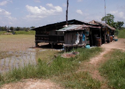A Nang Rong Home Built on the Edge of Paddy