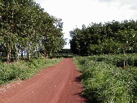 A dirt roadway in Nang Rong