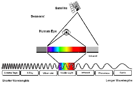Diagram of Electromagnetic Spectrum