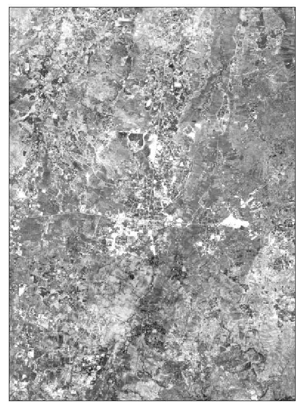 Regional Scale Air Photo