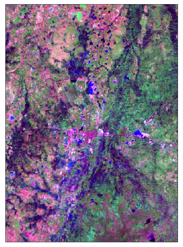 Regional Scale Satellite Image