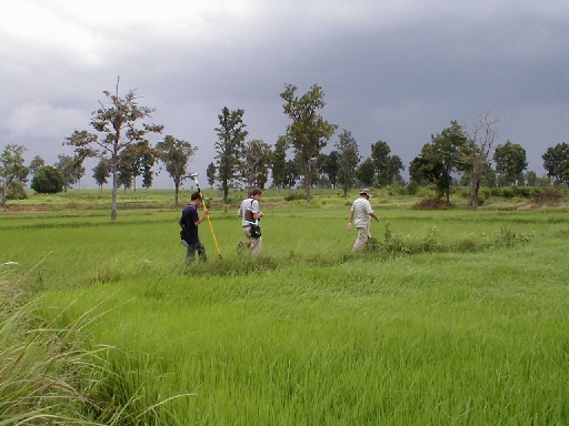 A data collection team traverses a rice paddy to collect GPS points.