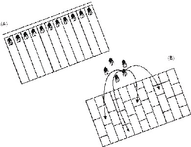 Illustration of Two Different Land Use Patterns