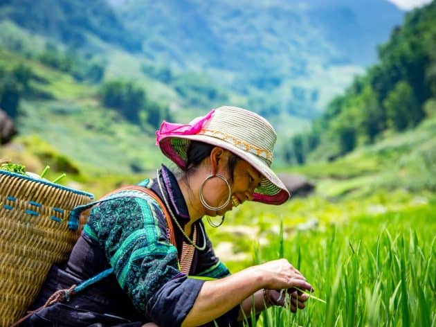 Woman working in field